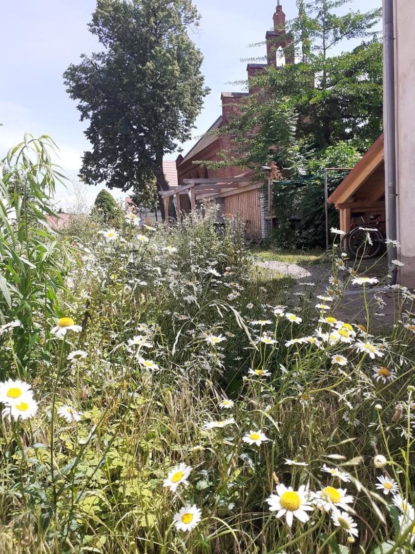 Ferienwohnung Martinsblick Angermunde Exterior foto