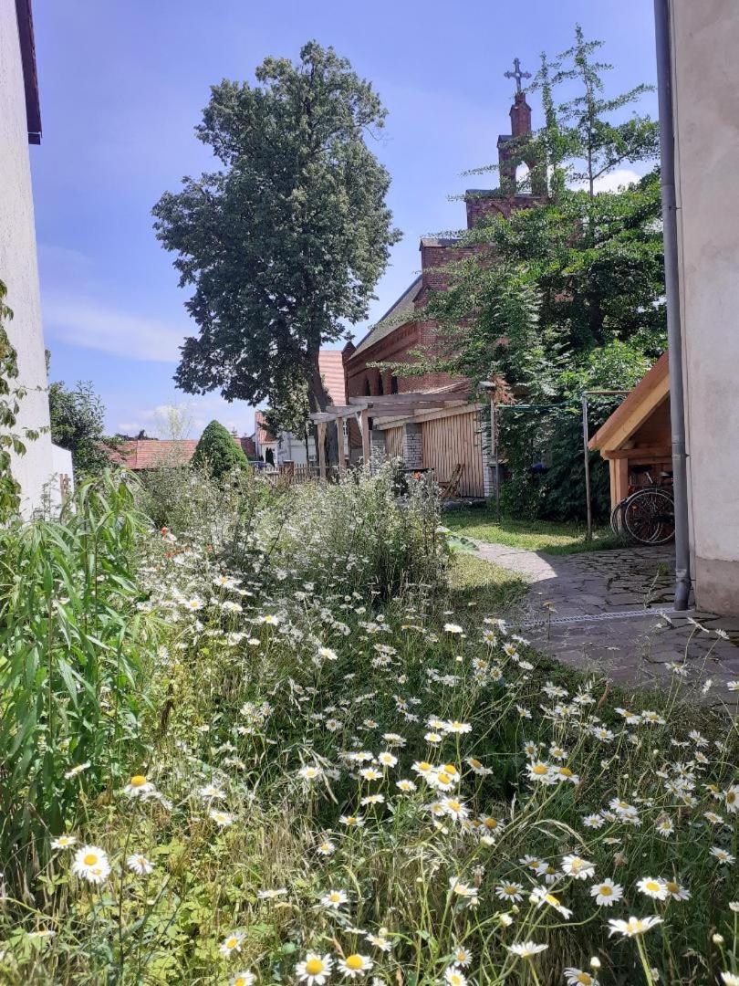 Ferienwohnung Martinsblick Angermunde Exterior foto